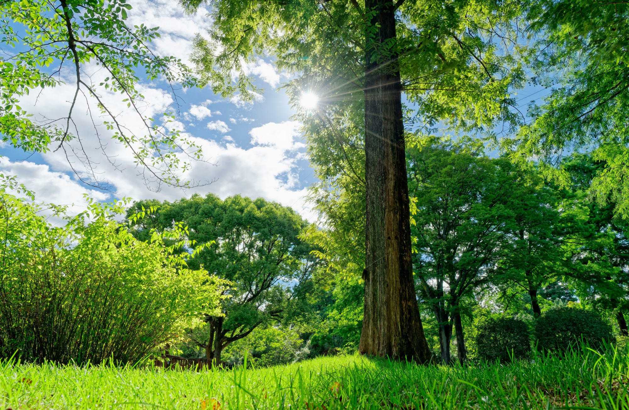 Solar ROI Calculator: How to Work Out Your Real Payback Period